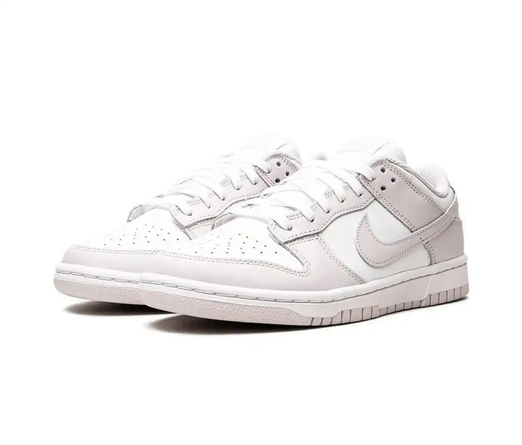 Nike Dunk Low Venice (W)